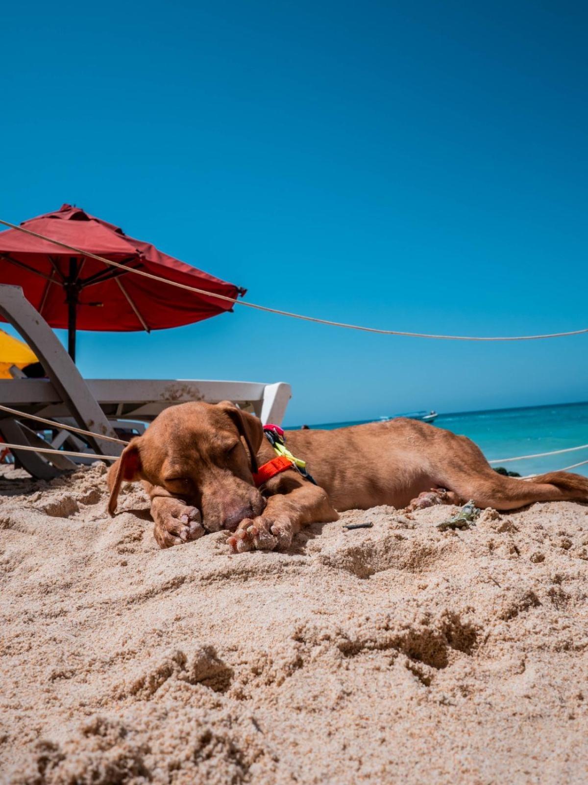 Hostal A Orilla Del Mar En Baru